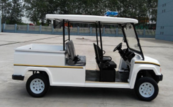 5 Seats Patrol Car